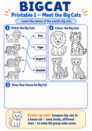 Meet the Big Cats printable worksheet