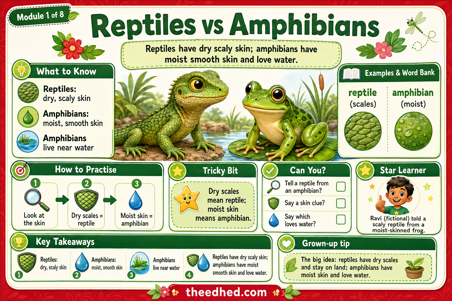 Reptiles & Amphibians Up Close – Kids Digital Infographic & Printable Worksheet Pack
