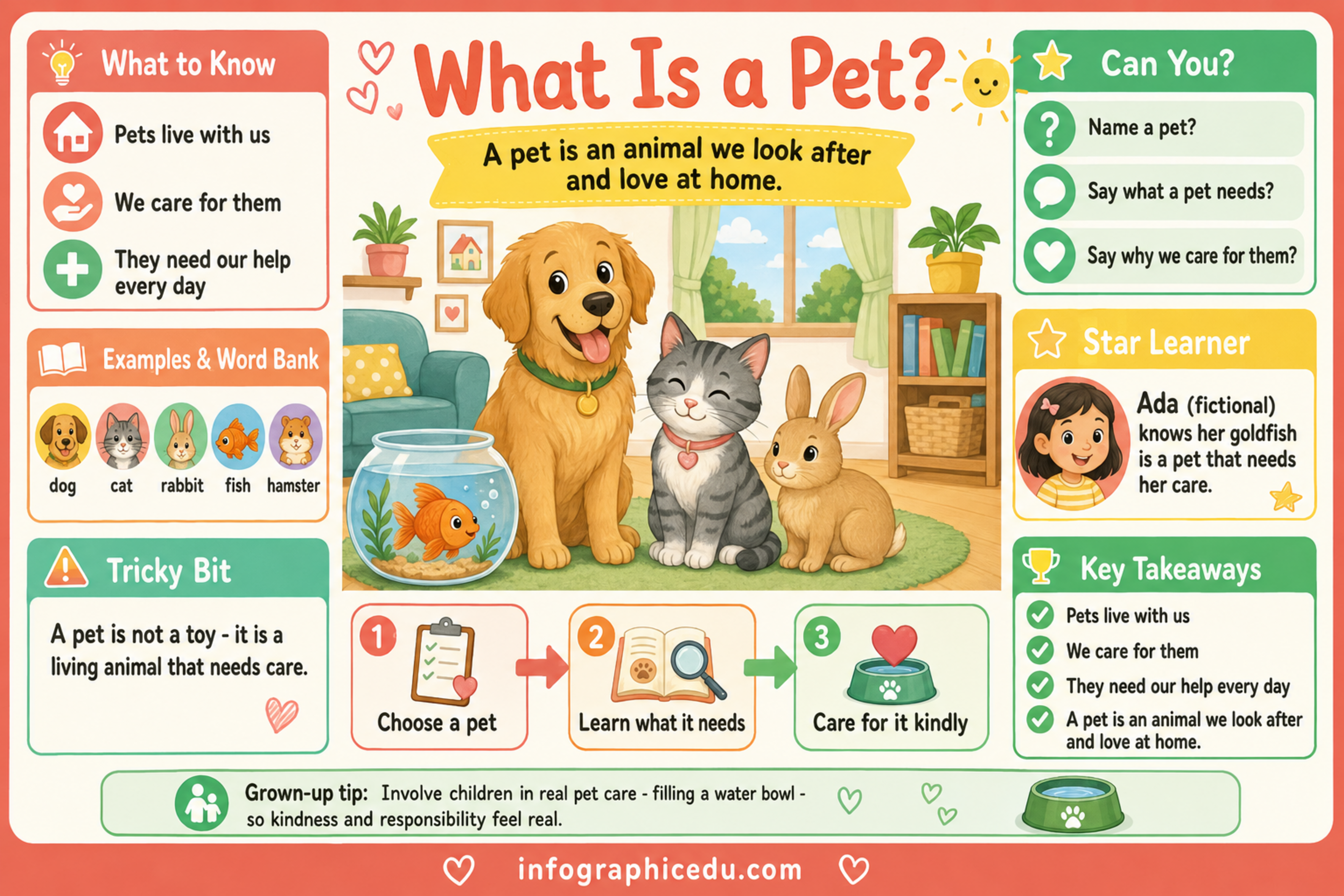 What Is a Pet? kids pet care infographic