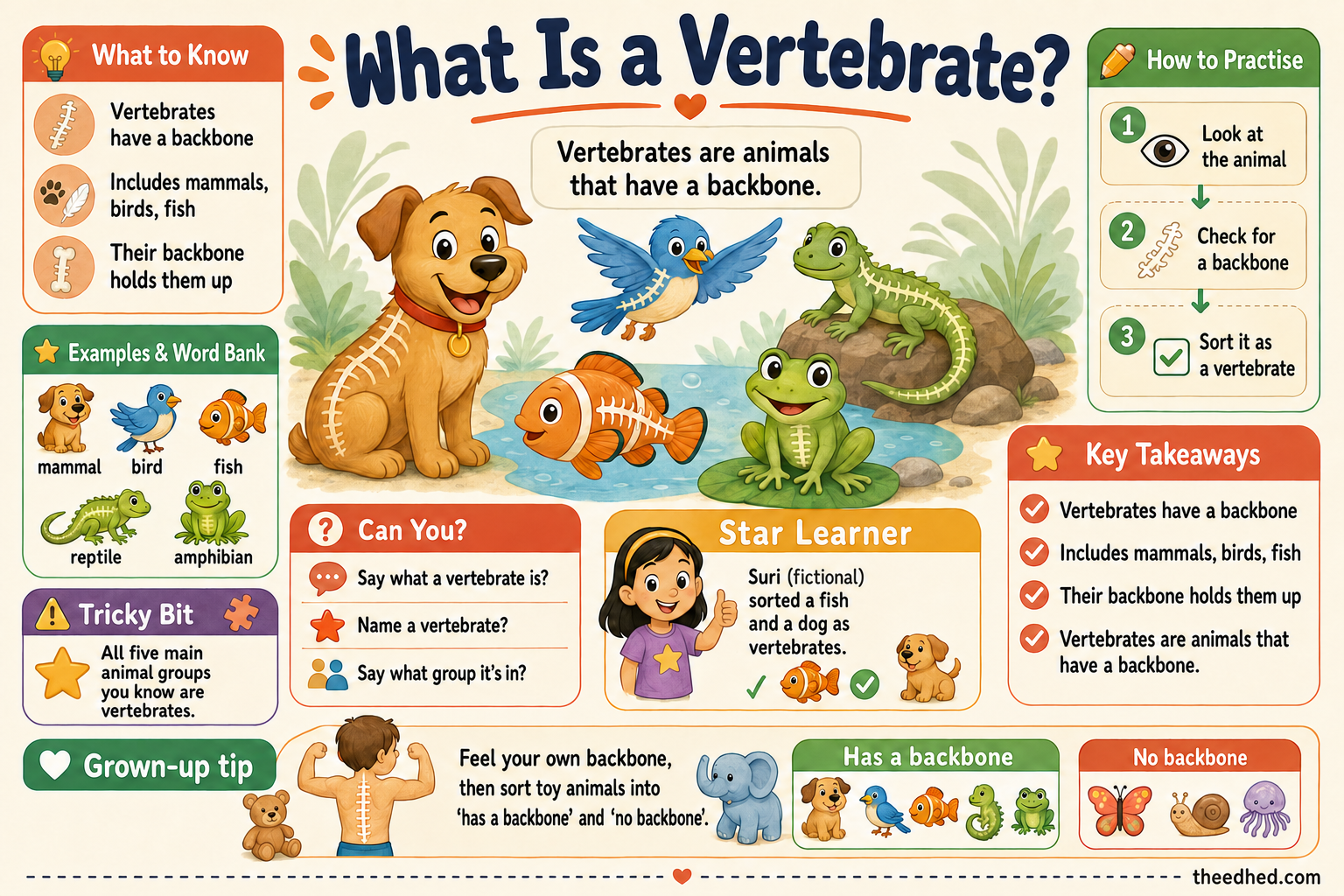 Vertebrates & Invertebrates for Kids – Digital Infographic & Printable Worksheet Pack