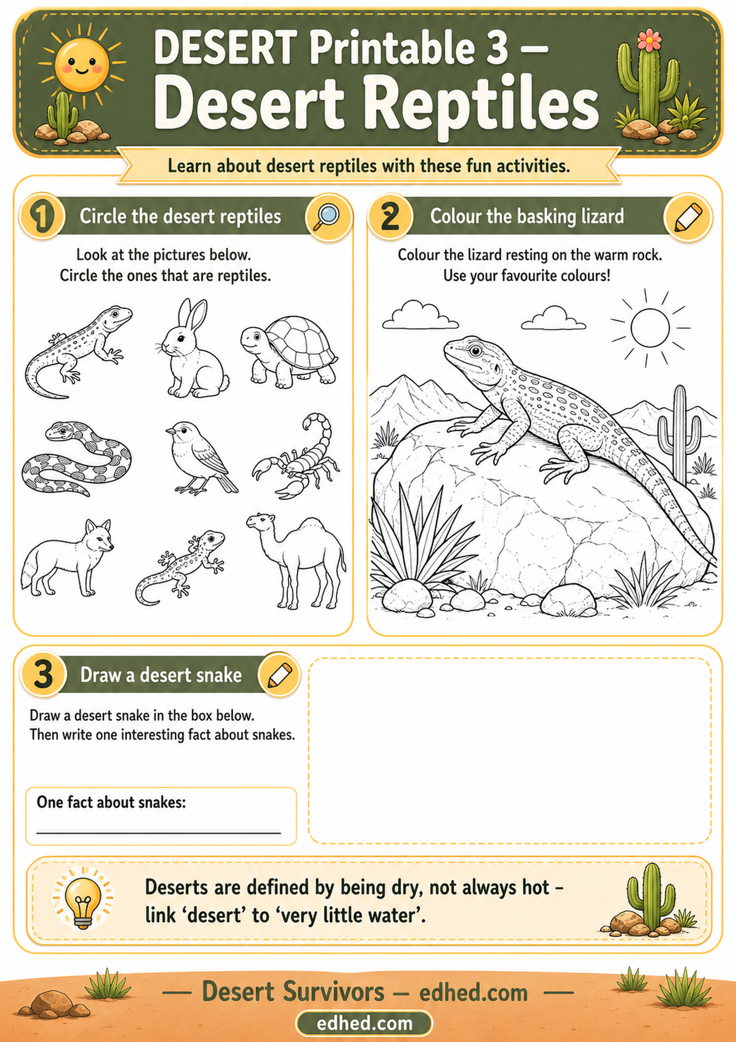 Desert Survivors – Kids Digital Infographic & Printable Worksheet Pack