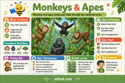 Rainforest Animals – Kids Digital Course & Printable Worksheets