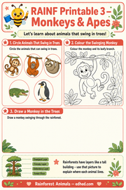 Rainforest Animals – Kids Digital Course & Printable Worksheets