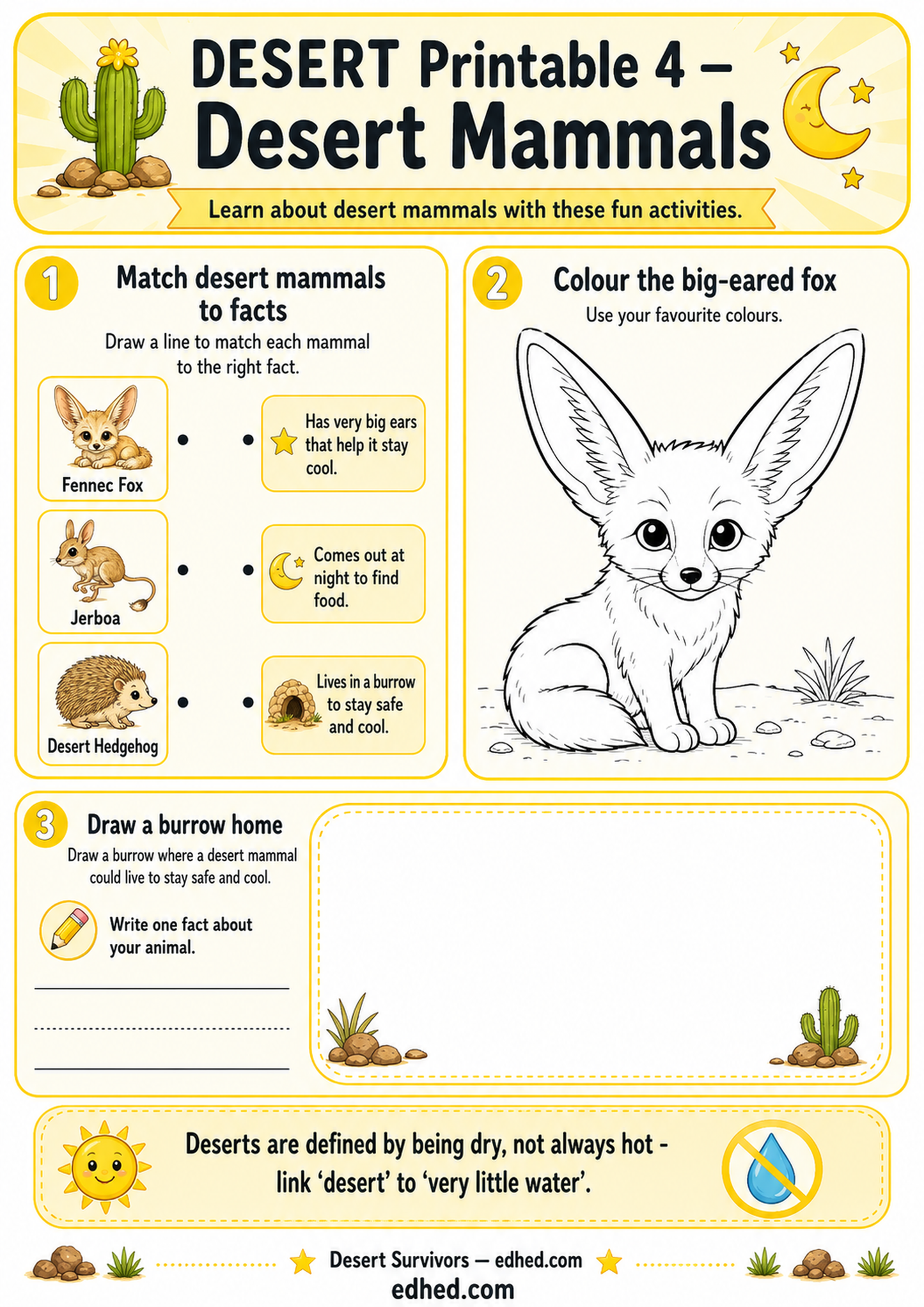 Desert Survivors – Kids Digital Infographic & Printable Worksheet Pack