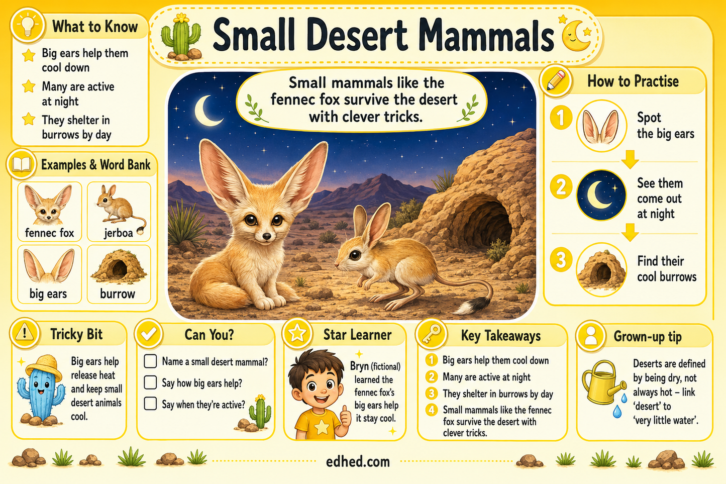 Desert Survivors – Kids Digital Infographic & Printable Worksheet Pack