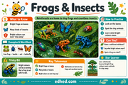 Rainforest Animals – Kids Digital Course & Printable Worksheets