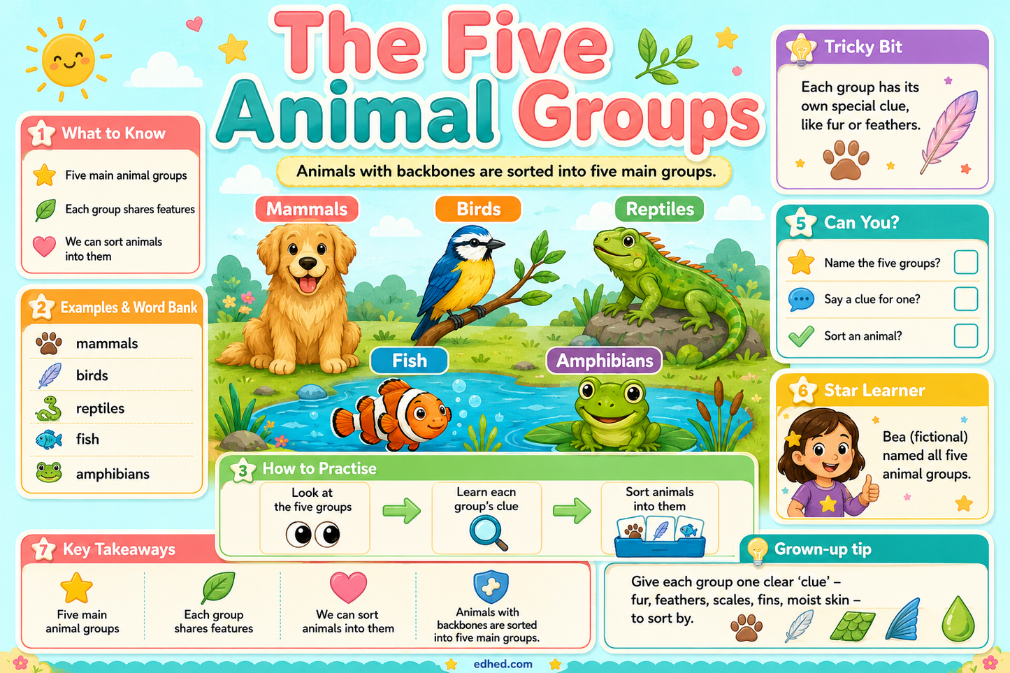 A colorful educational poster titled 'The Five Animal Groups' with illustrated animals in categories: mammals, birds, reptiles, fish, and amphibians. The poster includes sections like 'What to Know,' 'Examples & Word Bank,' 'How to Sort,' and 'Star Learner' with cartoon graphics and text.