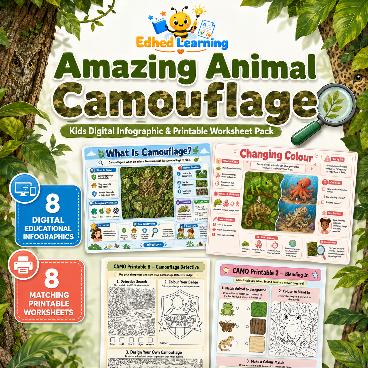 Amazing Animal Camouflage kids digital infographic and printable worksheet pack with 8 infographics and 8 worksheets