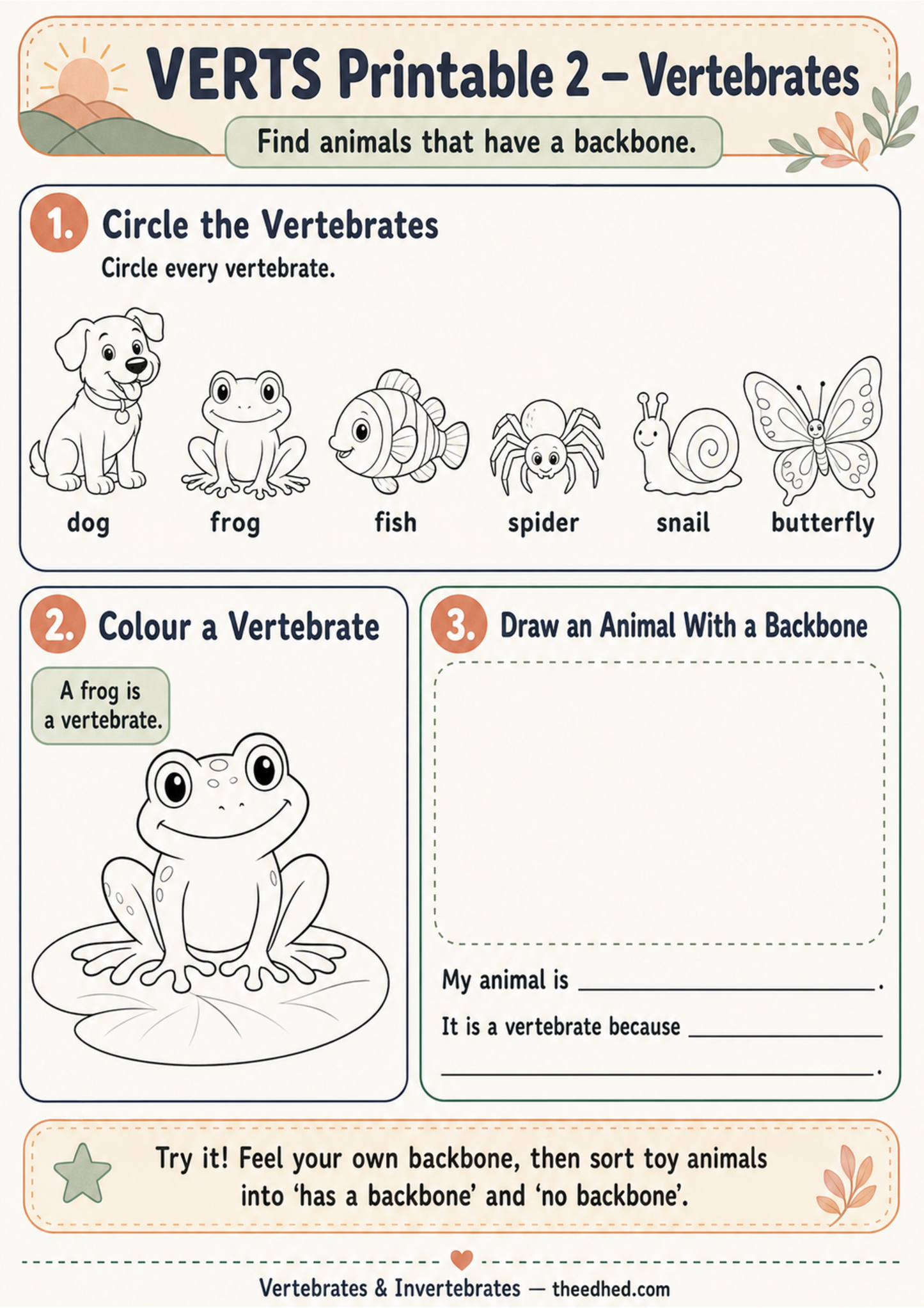 Vertebrates & Invertebrates for Kids – Digital Infographic & Printable Worksheet Pack