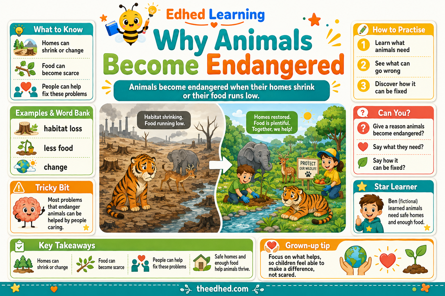 An educational poster titled 'Why Animals Become Endangered' by Edhed Learning, featuring colorful cartoon illustrations, text boxes, and diagrams explaining habitat loss and food scarcity.