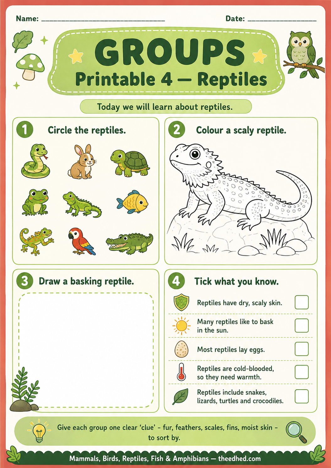 A children's educational worksheet titled 'GROUPS Printable 4 - Reptiles' with colorful animal illustrations and black-and-white line art of a scaly reptile, plus fill-in and multiple-choice sections.