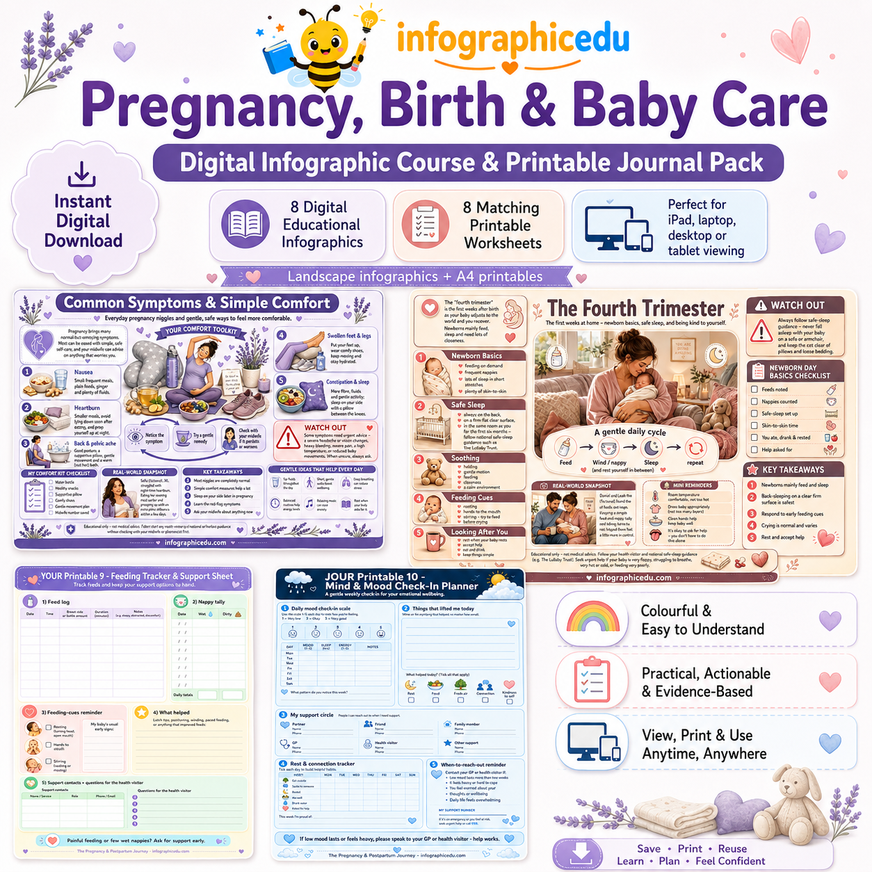 Pregnancy, Birth & Baby Care digital infographic course and printable journal pack cover from Infographic EDU