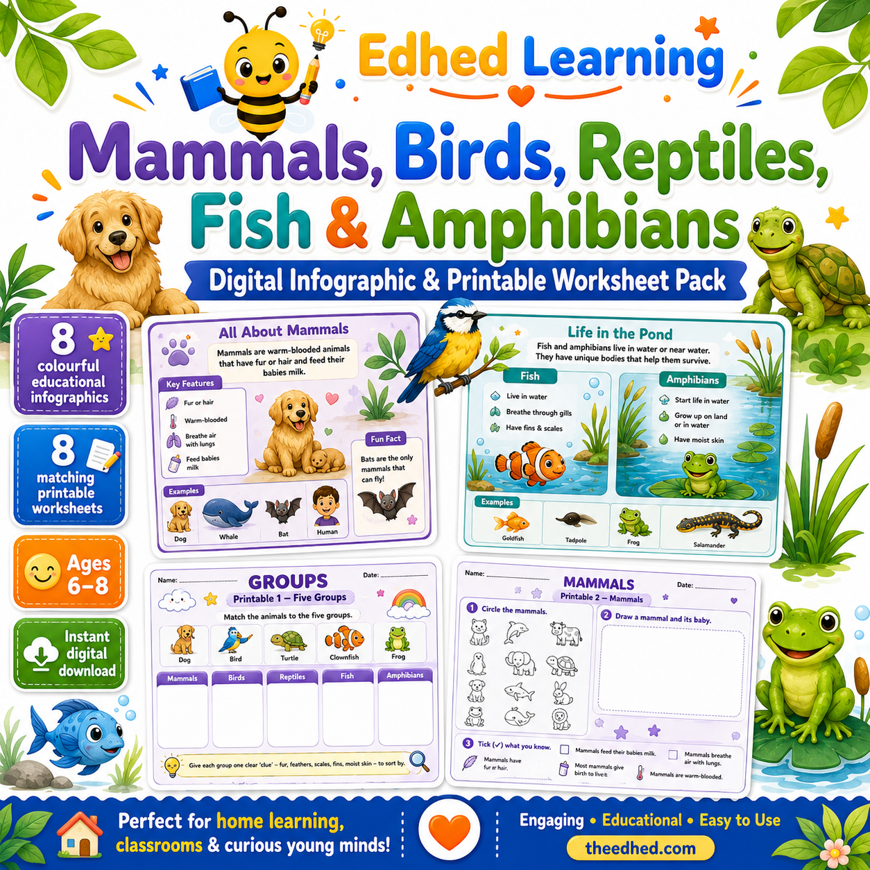 Promotional graphic for an Edhed Learning digital worksheet pack titled 'Mammals, Birds, Reptiles, Fish & Amphibians'. The design features colorful cartoon illustrations of a bee, dog, parrot, turtle, fish, frog, and blue whale, alongside previews of the printable worksheet pages.