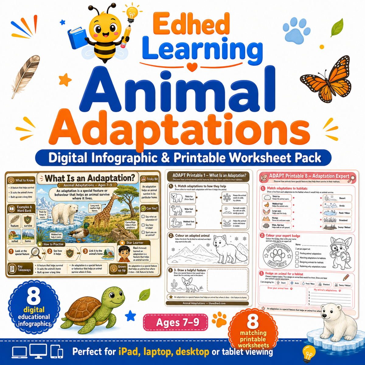 Animal Adaptations digital infographic and printable worksheet pack for children ages 7 to 9