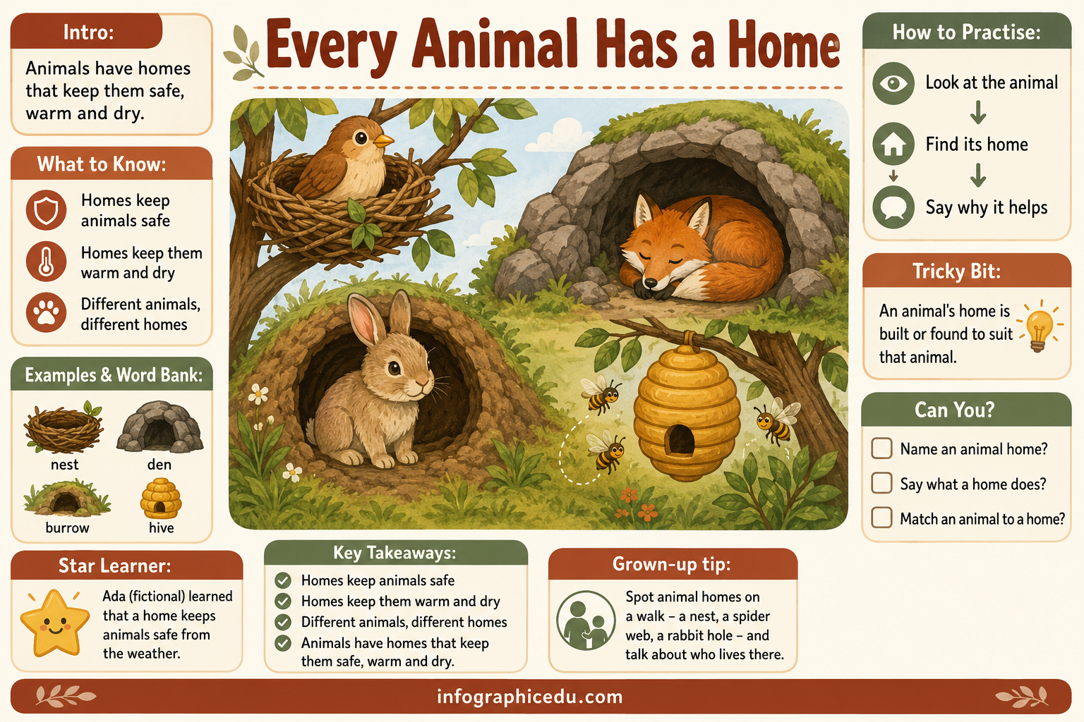 Animal Homes infographic: Every Animal Has a Home