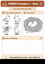 Animal Homes printable worksheet: nests activities