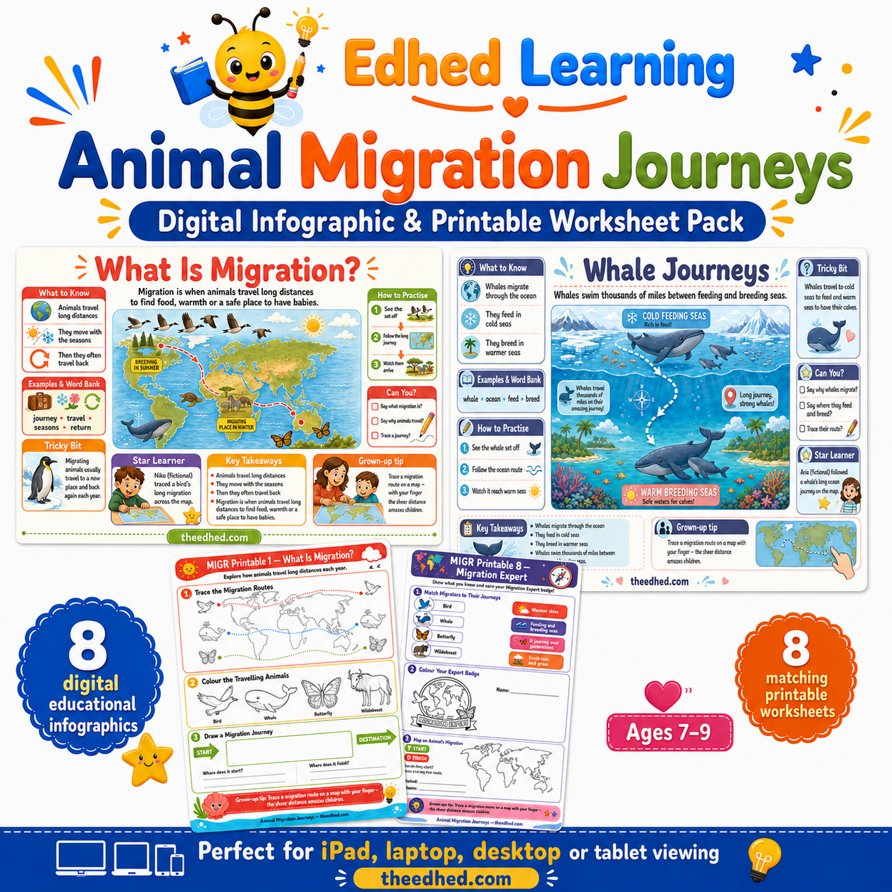 Animal Migration Journeys digital infographic and printable worksheet pack for ages 7 to 9