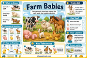 Farm Babies names educational infographic with calf lamb foal piglet chick and kid