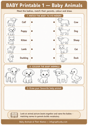 Baby Animals matching colouring and drawing printable worksheet for ages 3–5