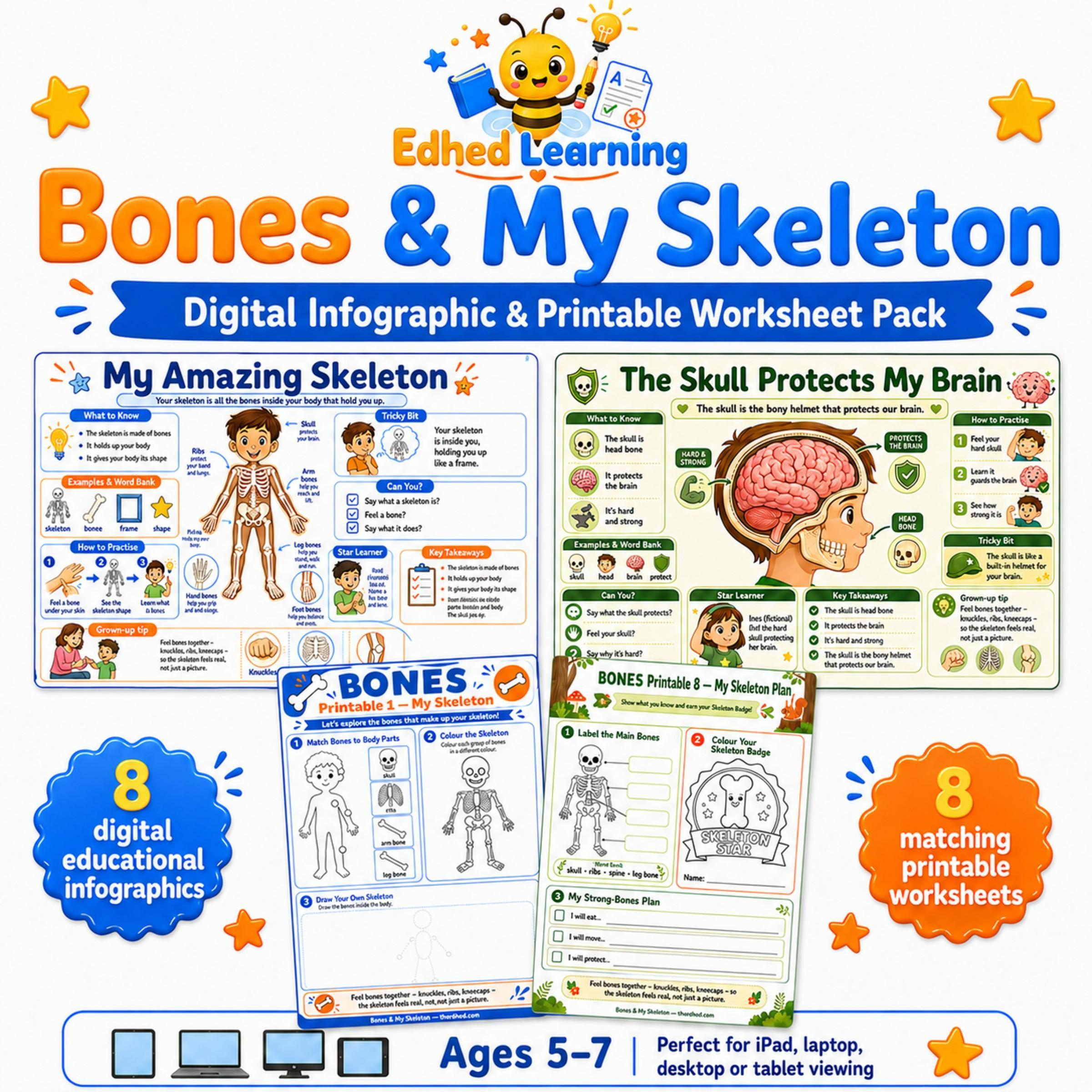 Edhed Learning Bones & My Skeleton digital course product image
