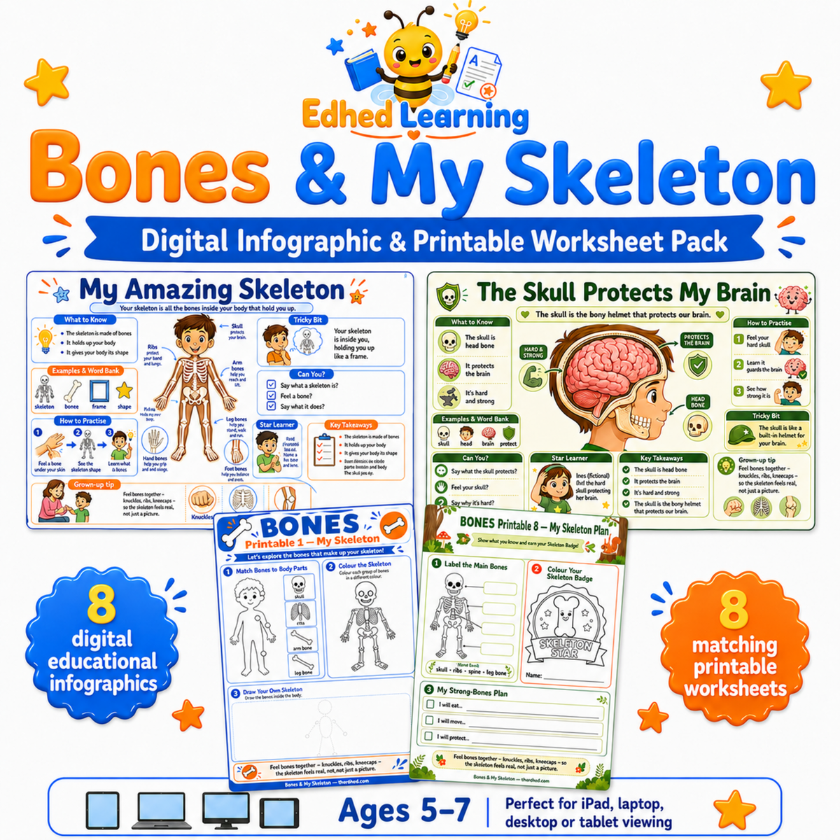 Bones & My Skeleton digital infographic and printable worksheet pack for ages 5 to 7