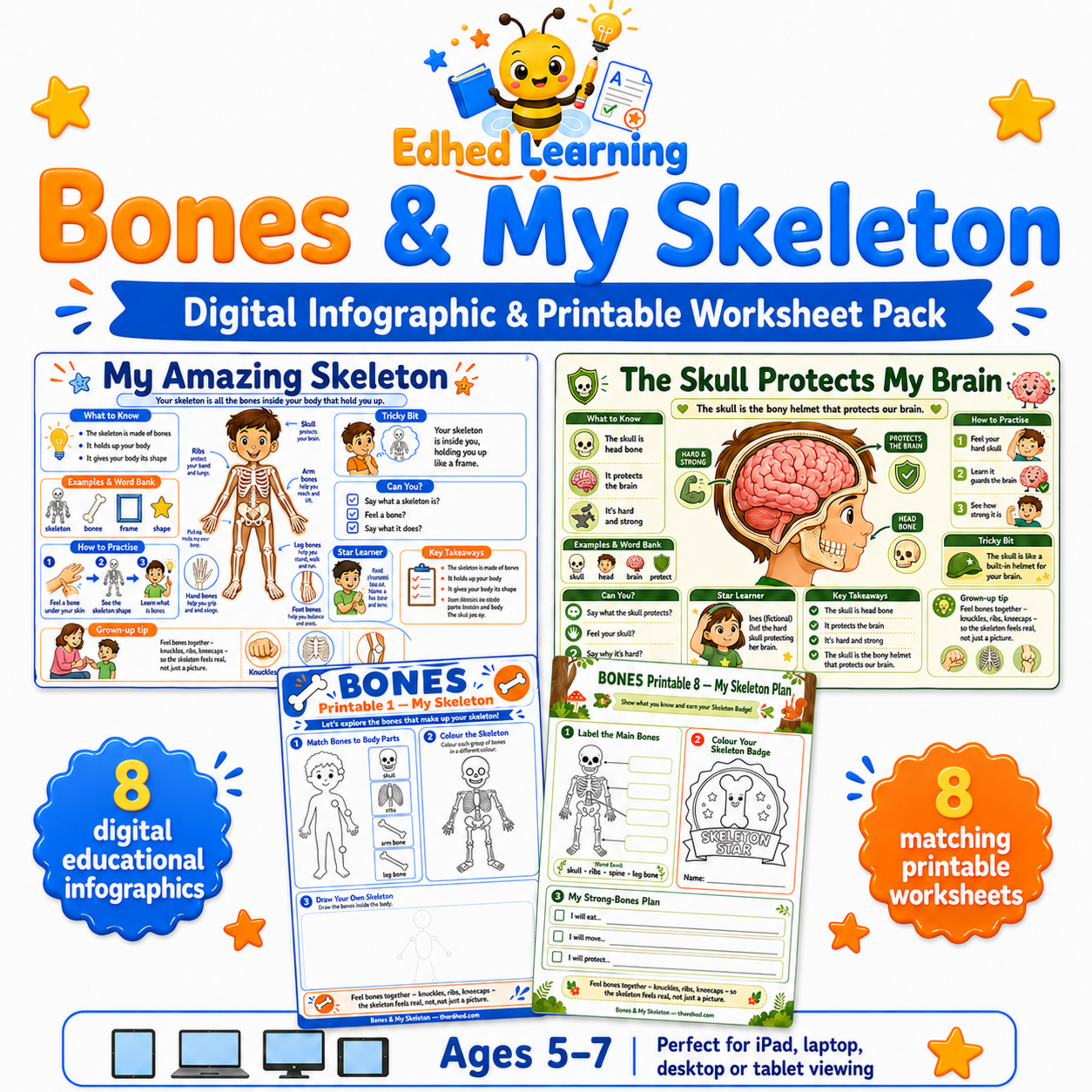 Bones & My Skeleton digital infographic and printable worksheet pack for ages 5 to 7