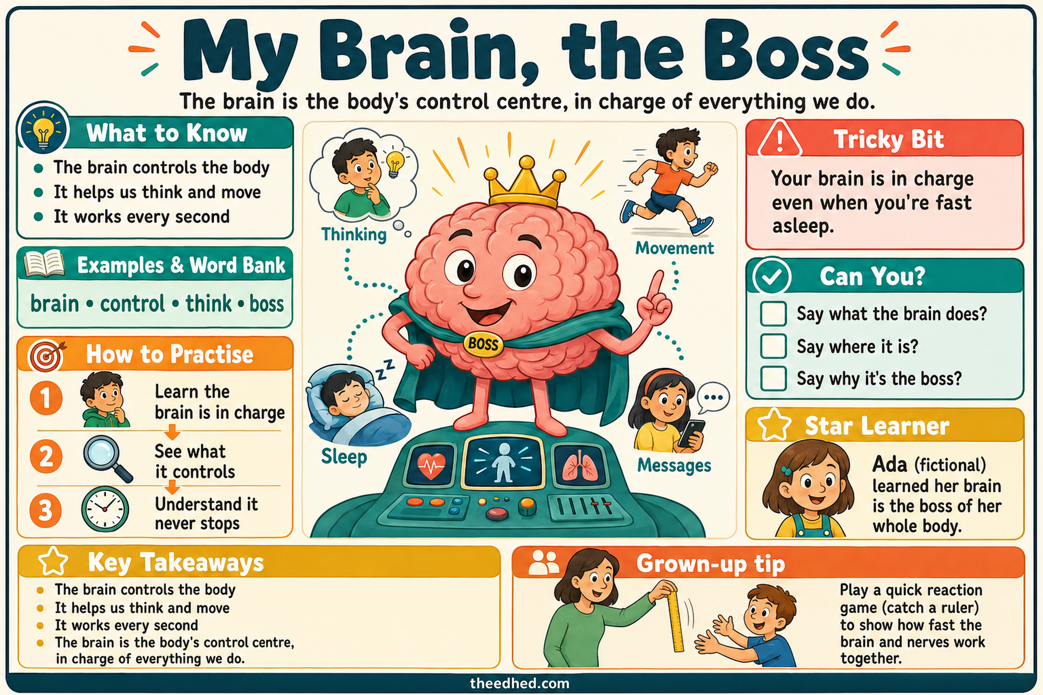 My Brain, the Boss educational infographic for children