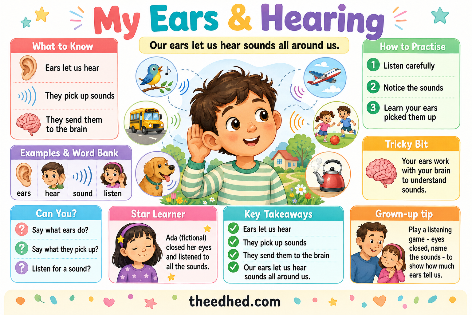 My Ears and Hearing educational infographic for children ages 6 to 8