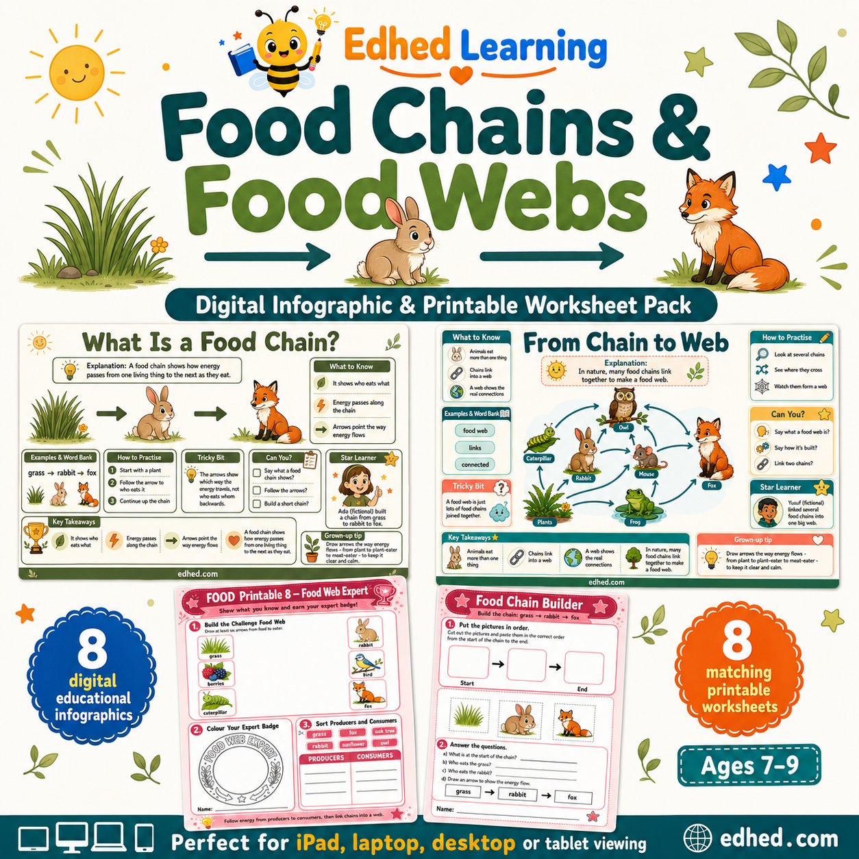 Food Chains and Food Webs digital course with 8 infographics and 8 printable worksheets for ages 7 to 9