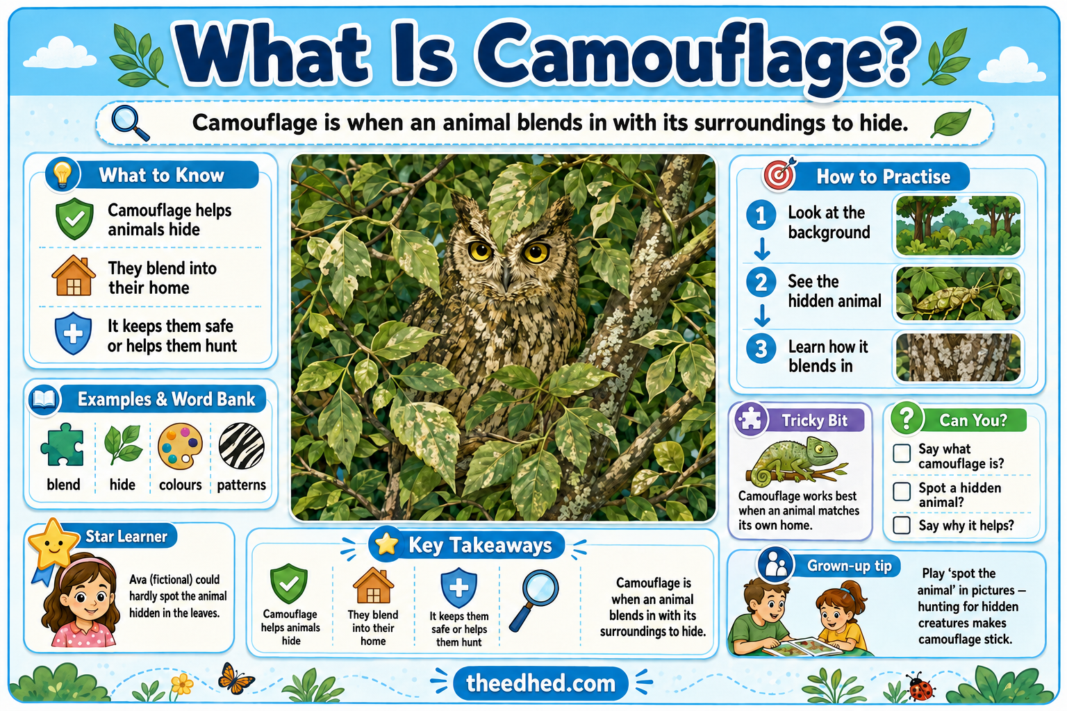 What Is Camouflage educational infographic for children ages 5 to 7