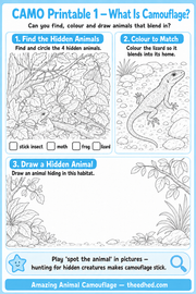 Free What Is Camouflage printable worksheet for ages 5 to 7
