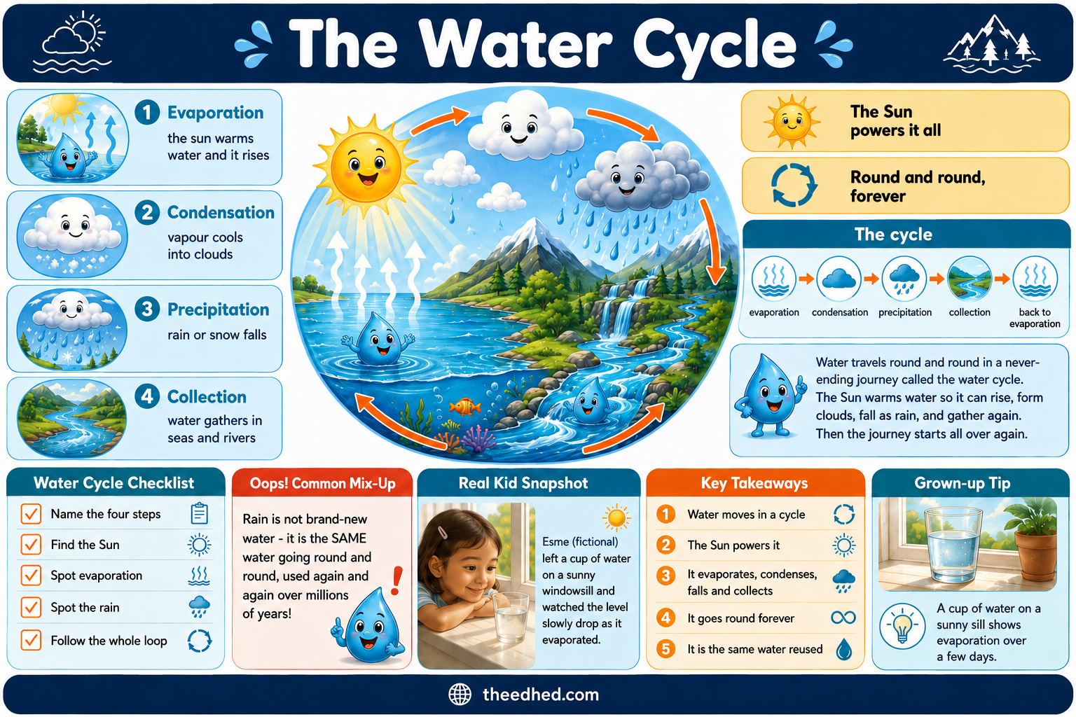 The Water Cycle educational infographic for children ages 6 to 8