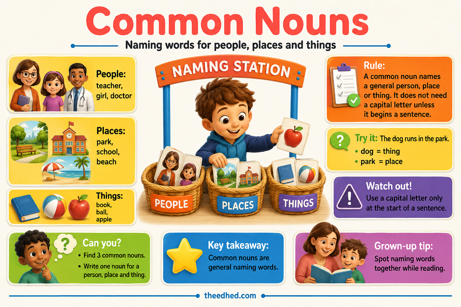 Grade 1 Parts of Speech infographic about common nouns