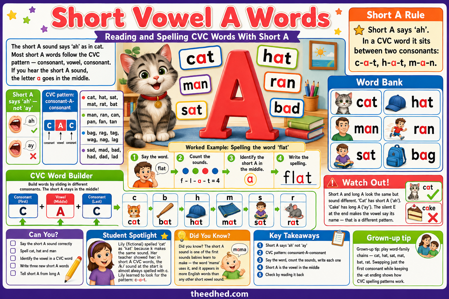 Short Vowel A Words Grade 1 spelling infographic with CVC word examples