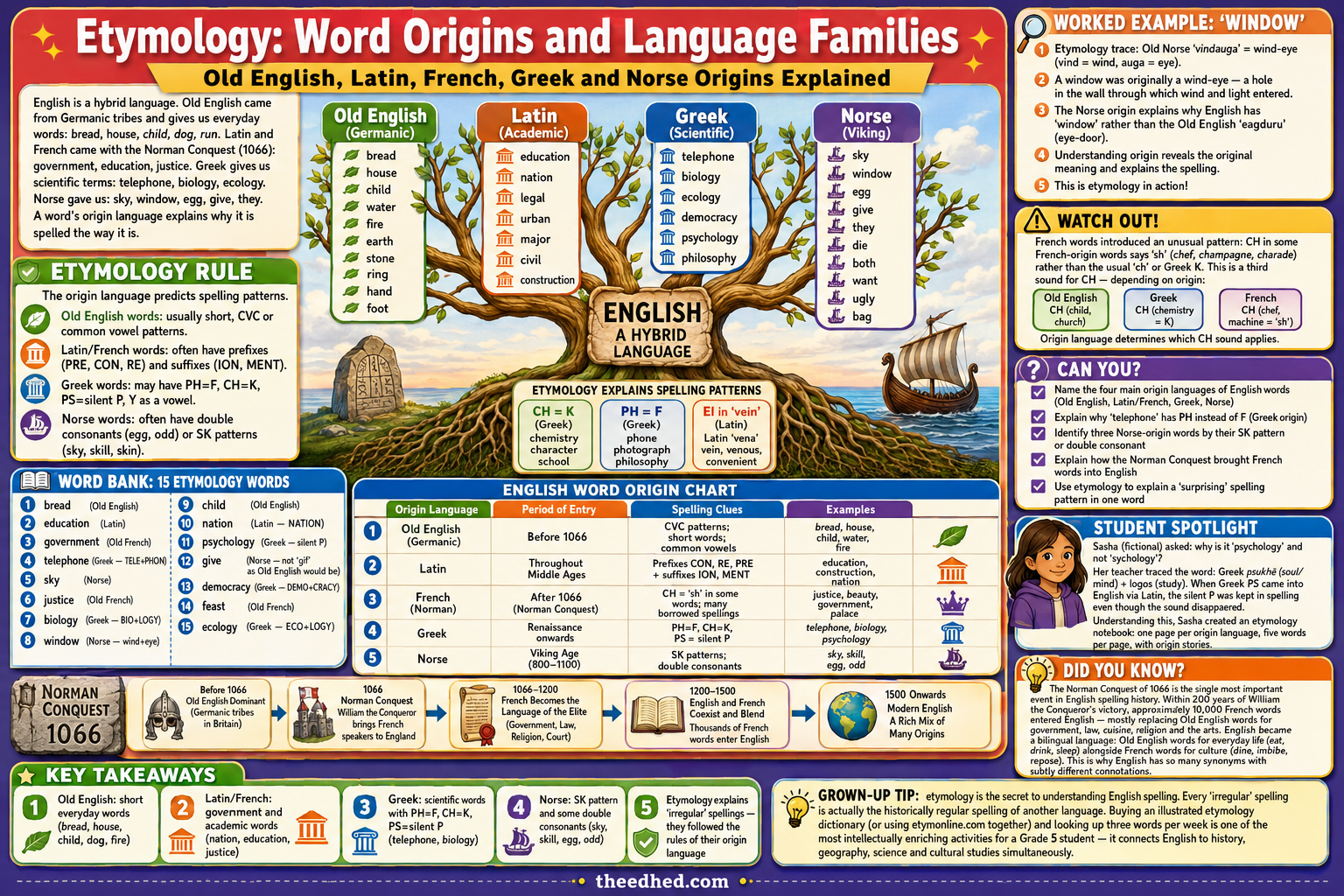 Etymology and word origins infographic for Grade 5 phonics covering Old English, Latin, French, Greek and Norse