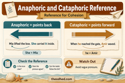 Anaphoric and cataphoric reference Grade 5 sentence writing infographic