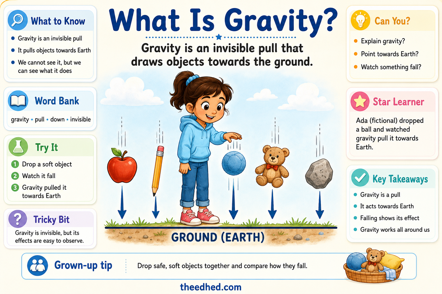 What Is Gravity educational infographic explaining the invisible pull towards Earth