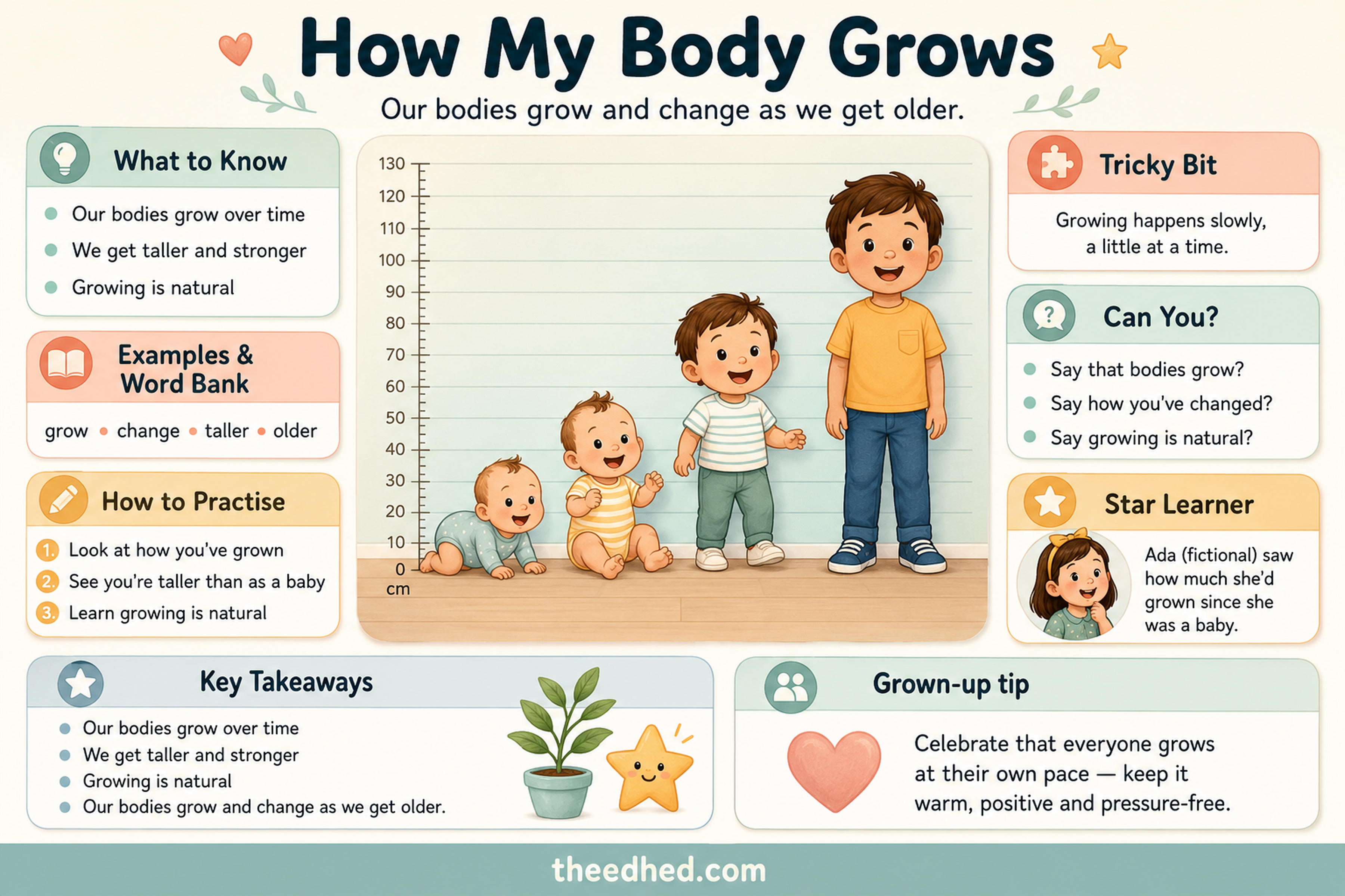 How My Body Grows educational infographic for children ages 6 to 8