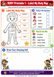 Human Body worksheet 1 preview from the kids science discovery bundle