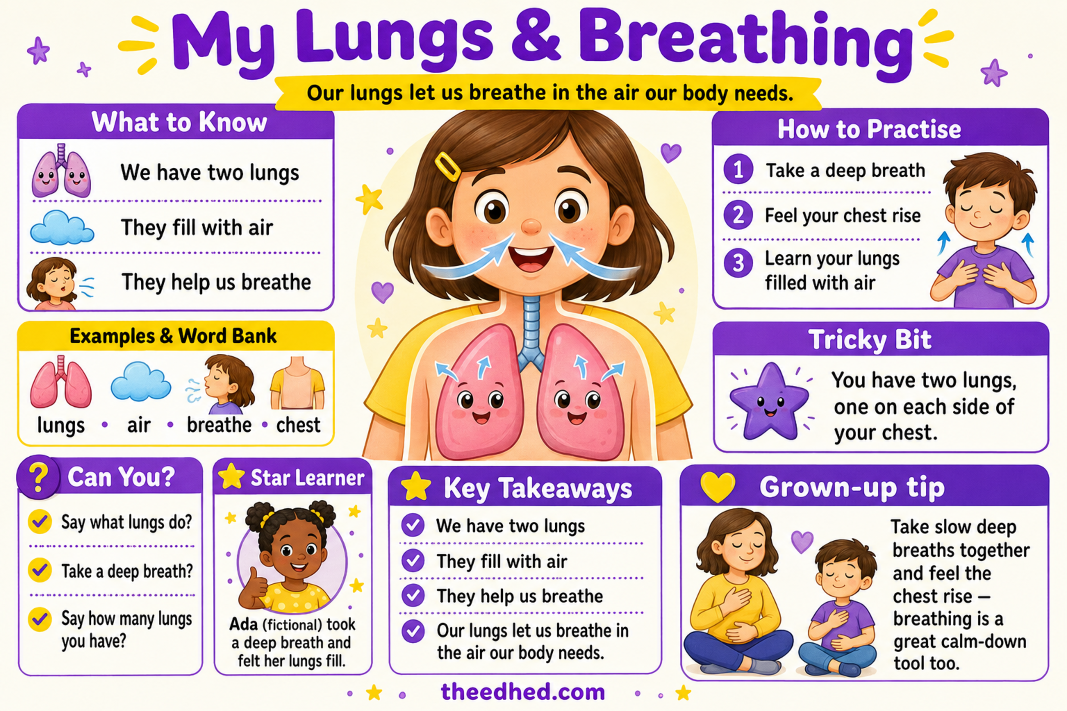My Lungs and Breathing educational infographic for children ages 6 to 8