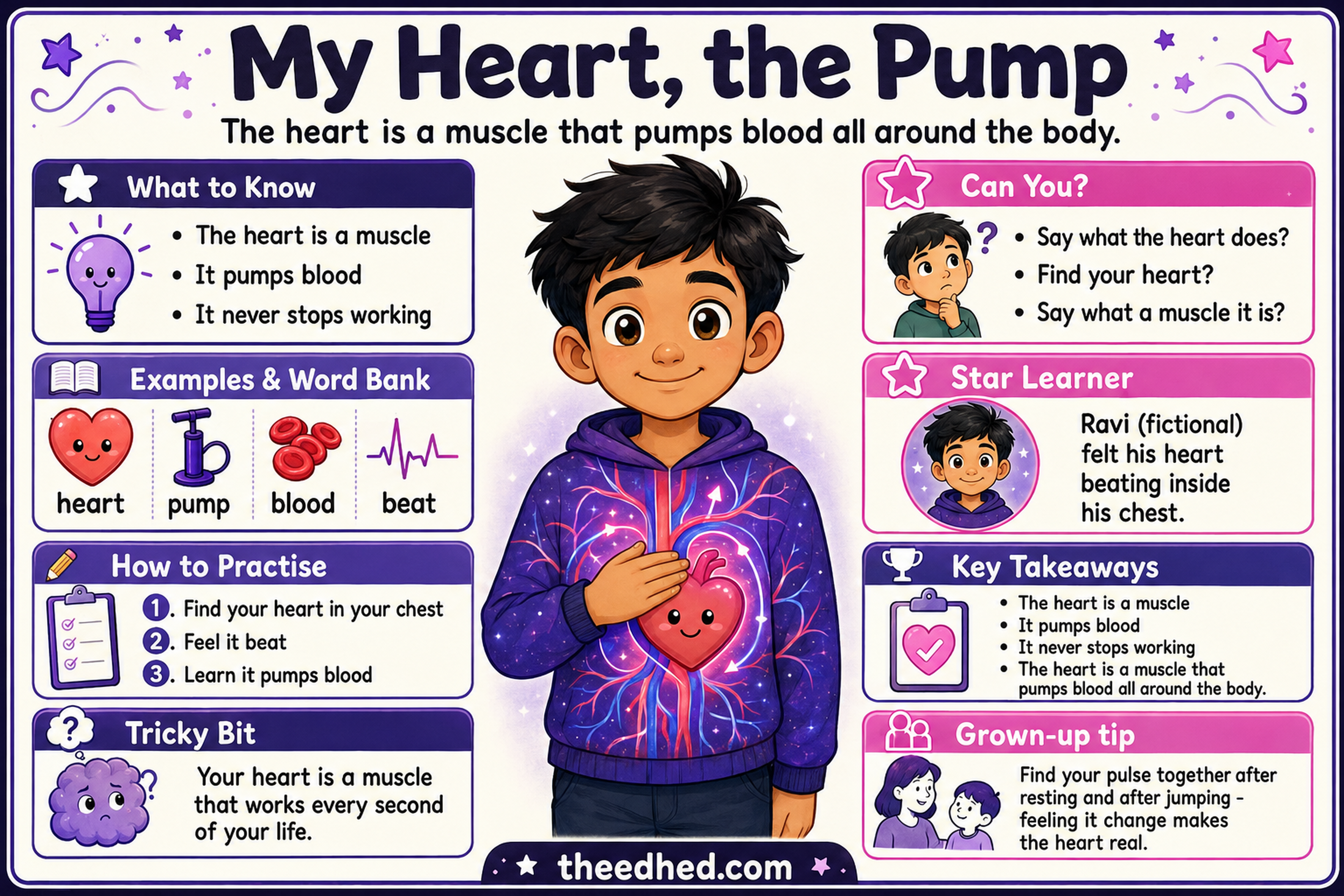 My Heart, the Pump educational infographic for children ages 6 to 8
