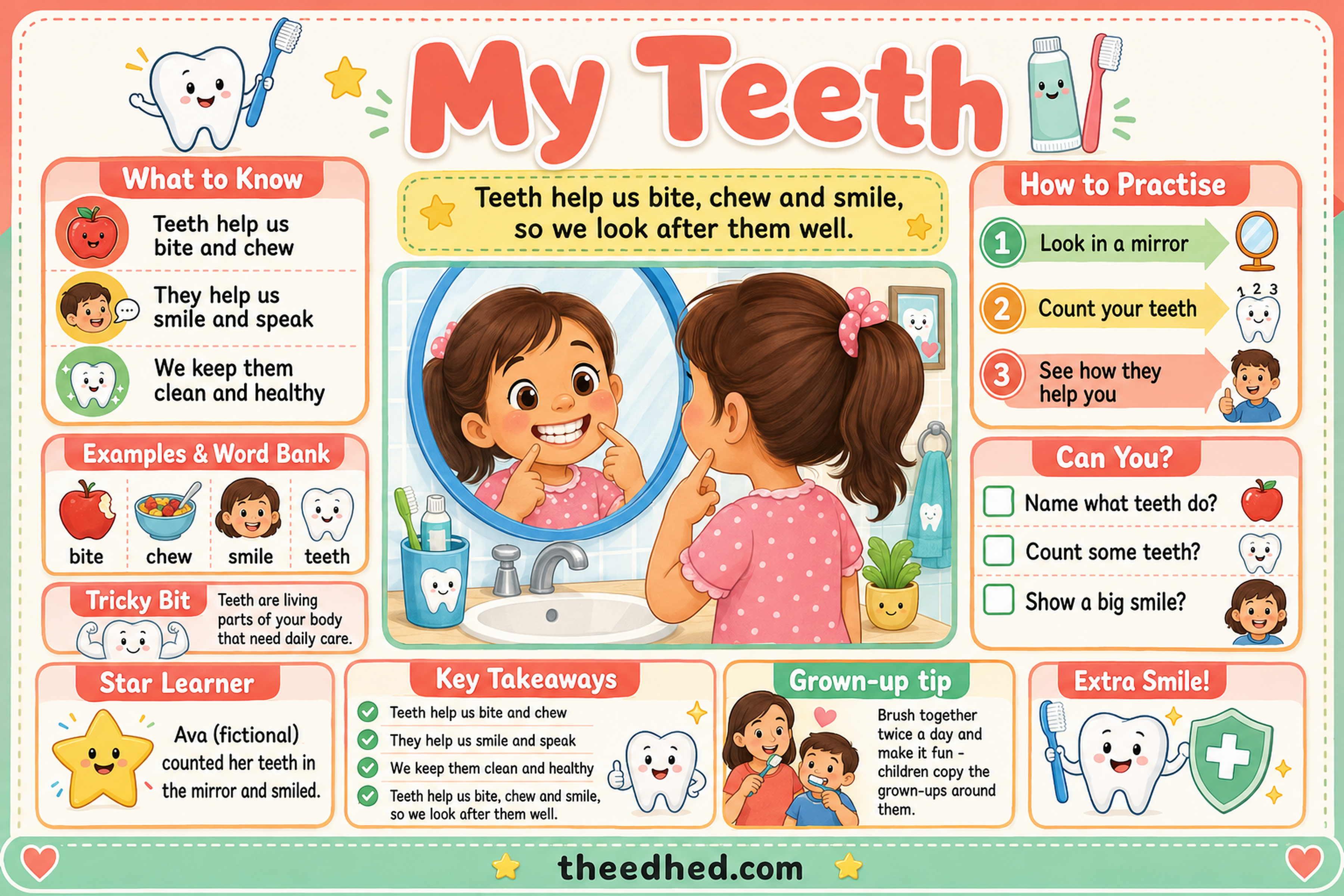My Teeth educational infographic showing how teeth help children bite, chew, speak and smile