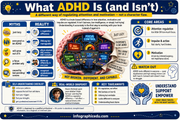 ADHD Brain infographic 1 preview from the neurodivergent focus regulation bundle