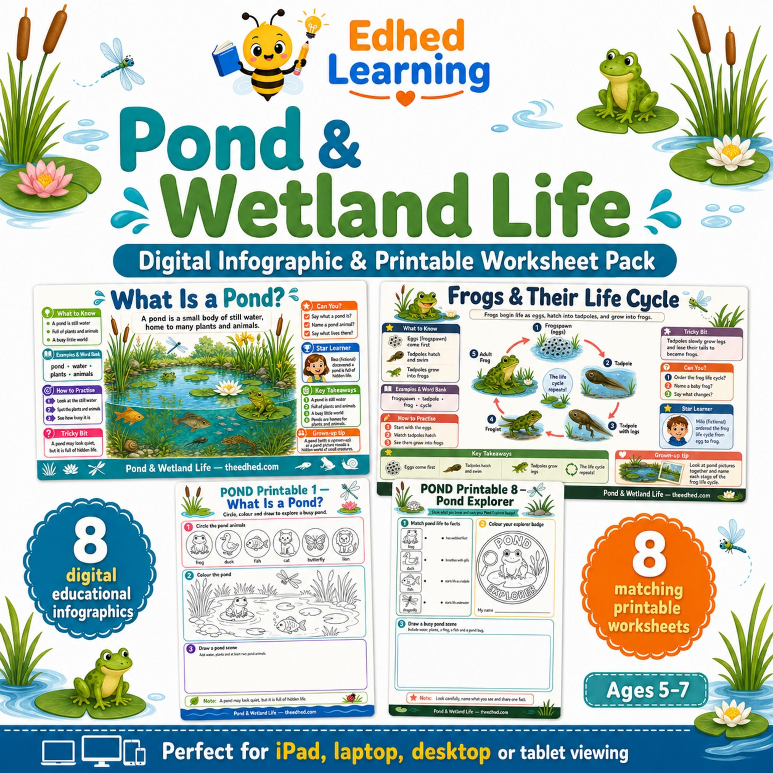 Edhed Learning Pond & Wetland Life digital course product image