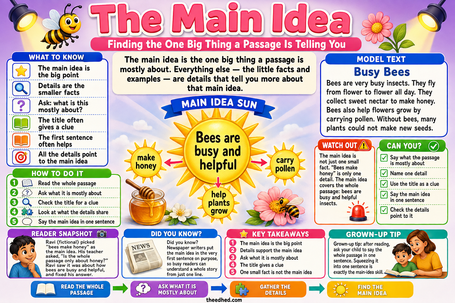The Main Idea Grade 2 reading comprehension educational infographic