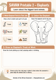 Elephants activity worksheet