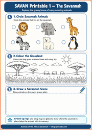 The Savannah activity worksheet