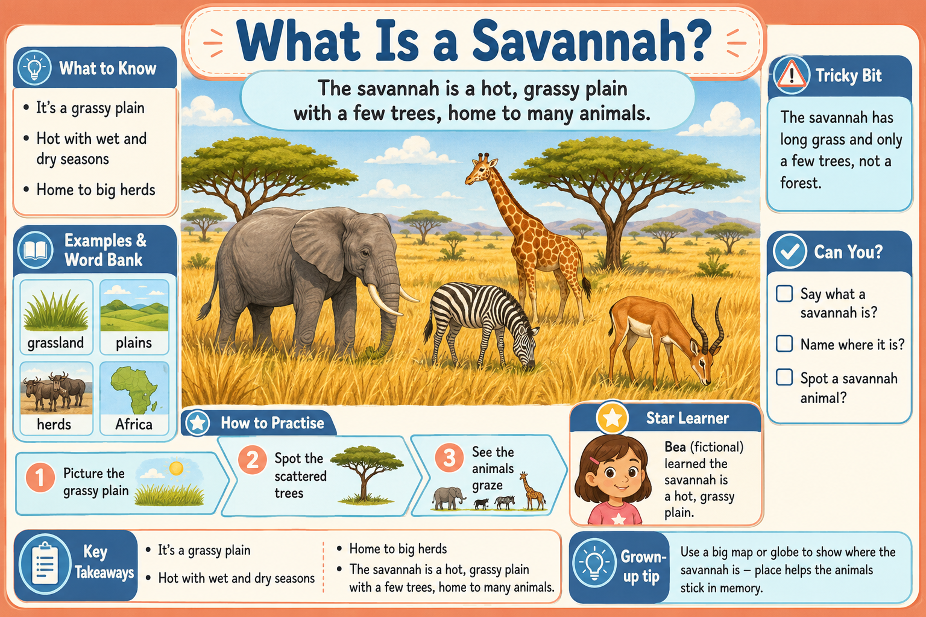 What Is a Savannah? educational infographic