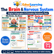 The Brain & Nervous System digital infographic and printable worksheet pack for ages 7 to 9