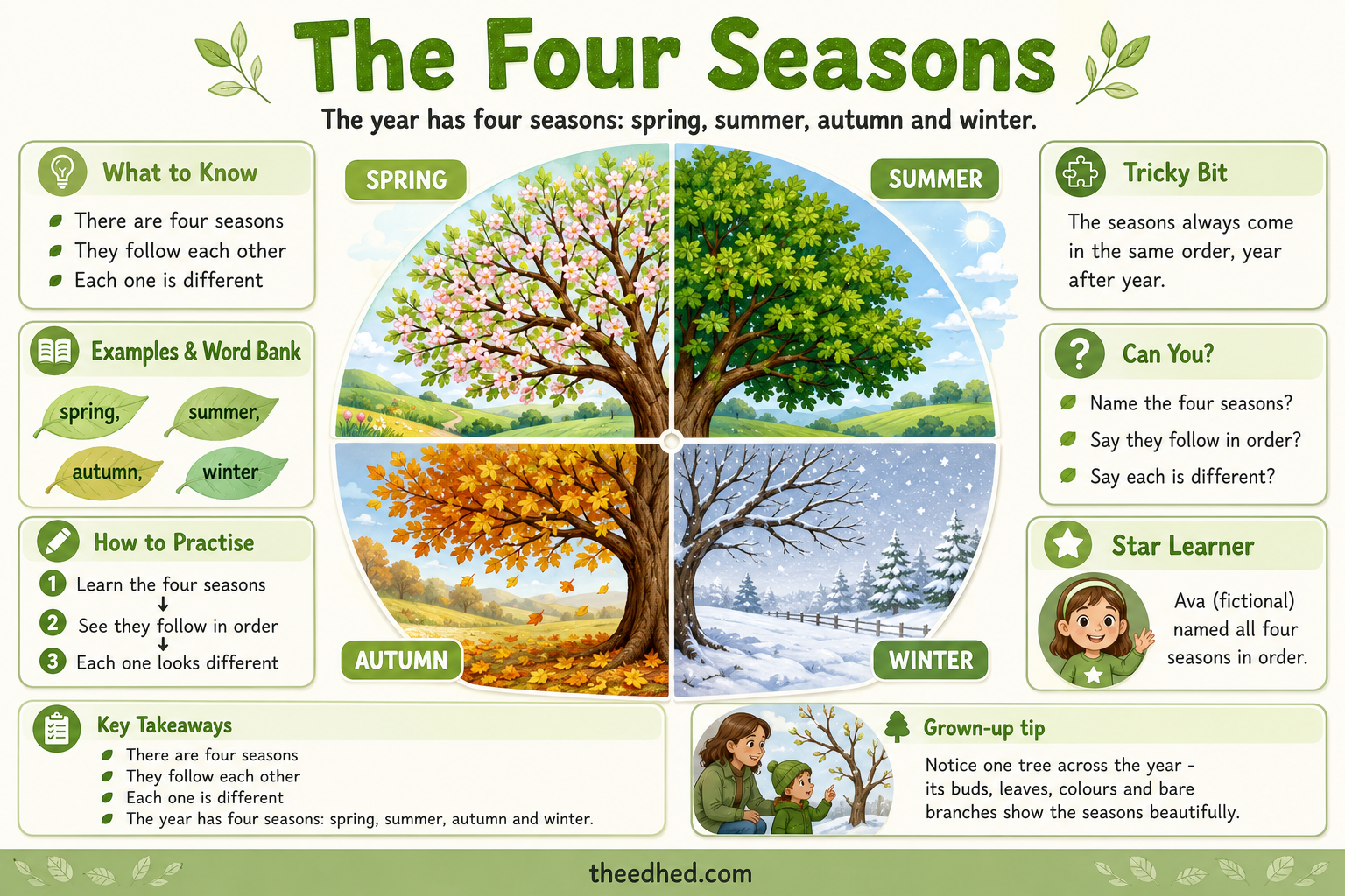 The Four Seasons educational infographic showing spring, summer, autumn and winter